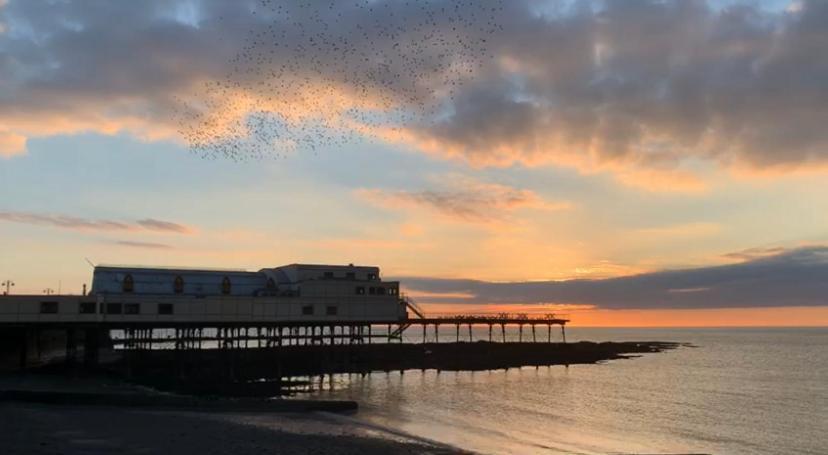 Sea View Apartment - Sleeps 2 Aberystwyth Esterno foto